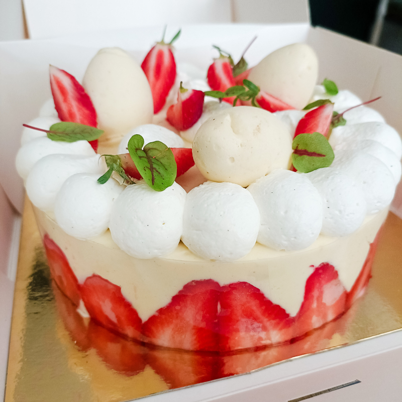 fraisier L'Opaline Binic